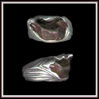 Ring - Meteorite GP